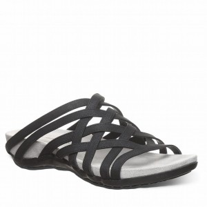 Black Bearpaw Zinnia Women Sandals | XTI1530TP