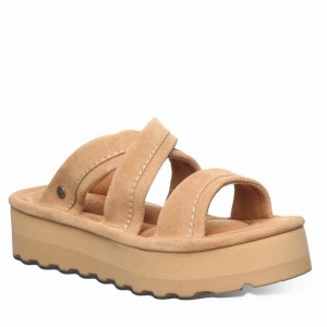 Brown Bearpaw Altitude Women Sandals | JAV3984CU