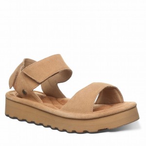 Brown Bearpaw Crest Women Sandals | SQU5782IG