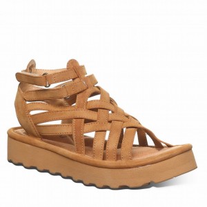 Brown Bearpaw Prominence Women Sandals | ENO702XW