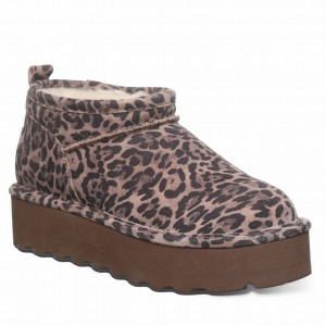 Brown Bearpaw Retro Super Shorty Women Platform Boots | QFZ7378NG