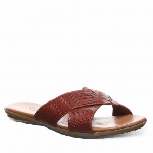 Brown Bearpaw Ximena Women Sandals | RVM7815IR