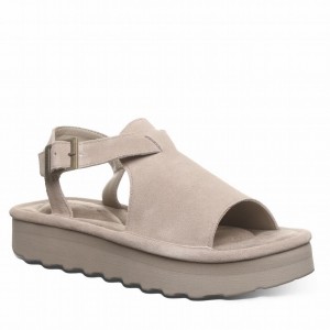 Grey Bearpaw Ascend Women Sandals | XNC6042DX