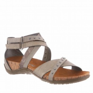 Grey Bearpaw Julianna II Women Sandals | UAH6568SR