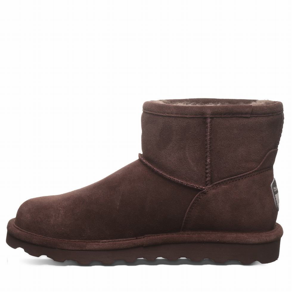 Brown Bearpaw Alyssa Women Booties | MWO9349OT