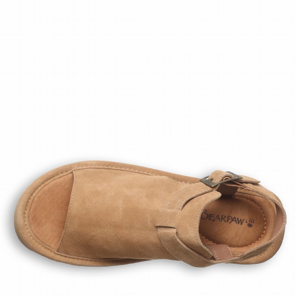 Brown Bearpaw Ascend Women Sandals | LEW8644XX