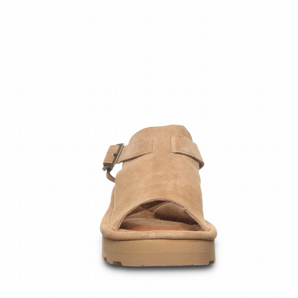 Brown Bearpaw Ascend Women Sandals | LEW8644XX