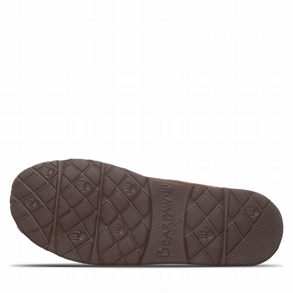 Brown Bearpaw Beau Men Slippers | EAC5921LE