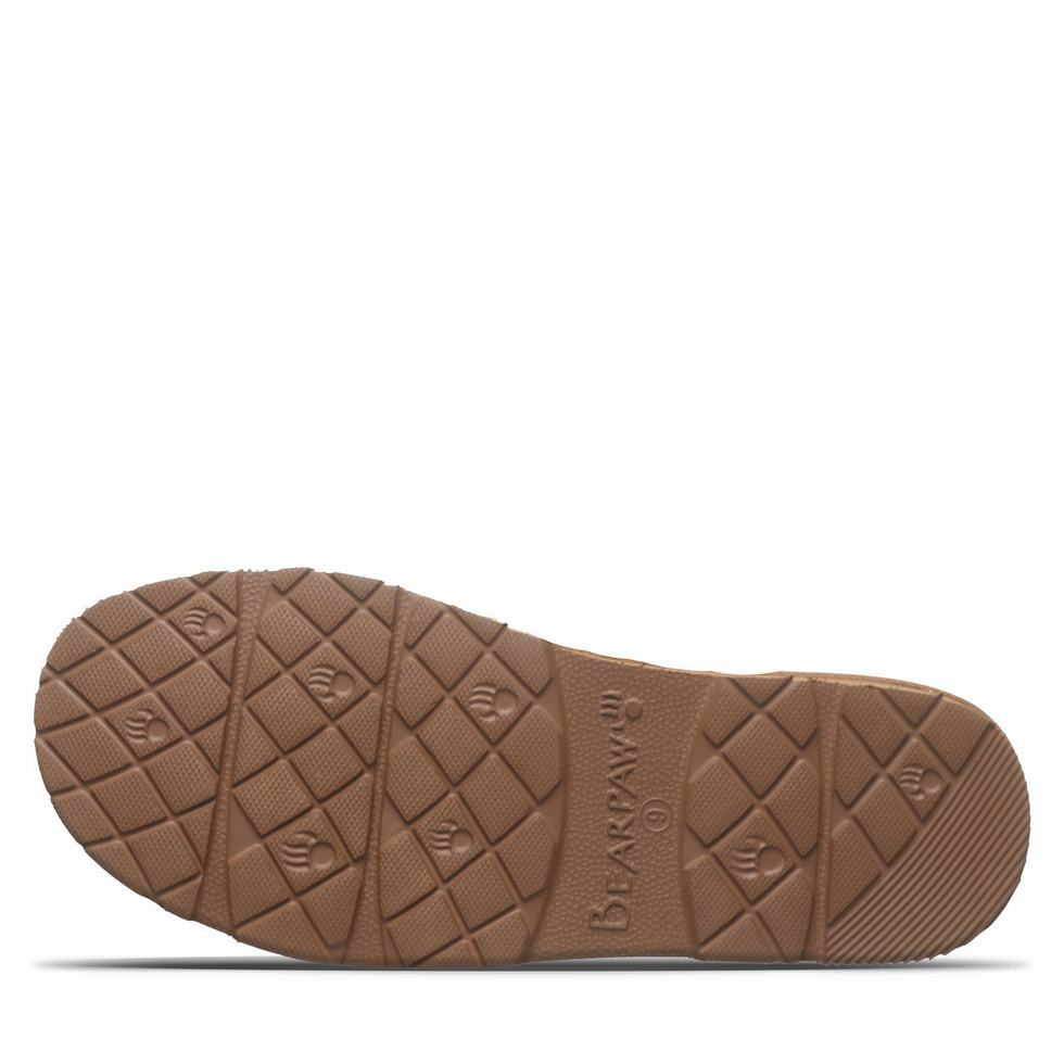 Brown Bearpaw Beau Men Slippers | JSD262NA