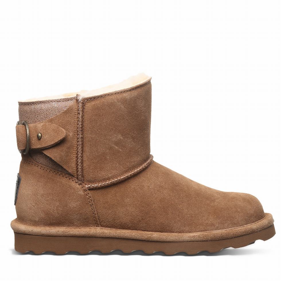 Brown Bearpaw Betty Women Booties | XRM3848DZ