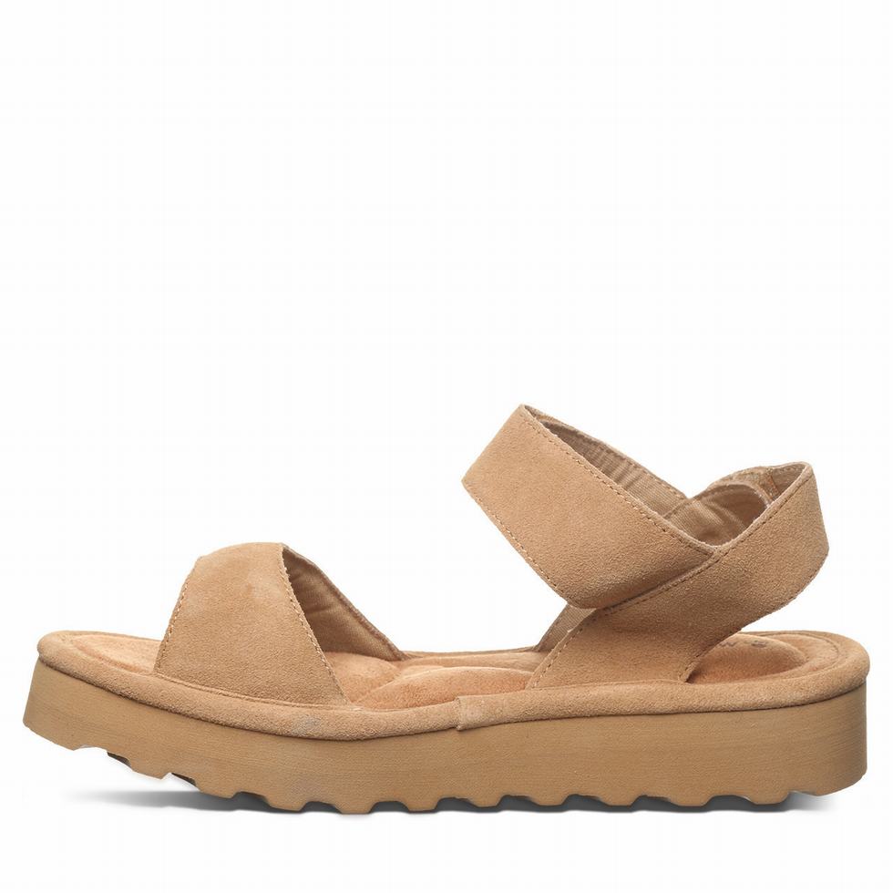 Brown Bearpaw Crest Women Sandals | SQU5782IG