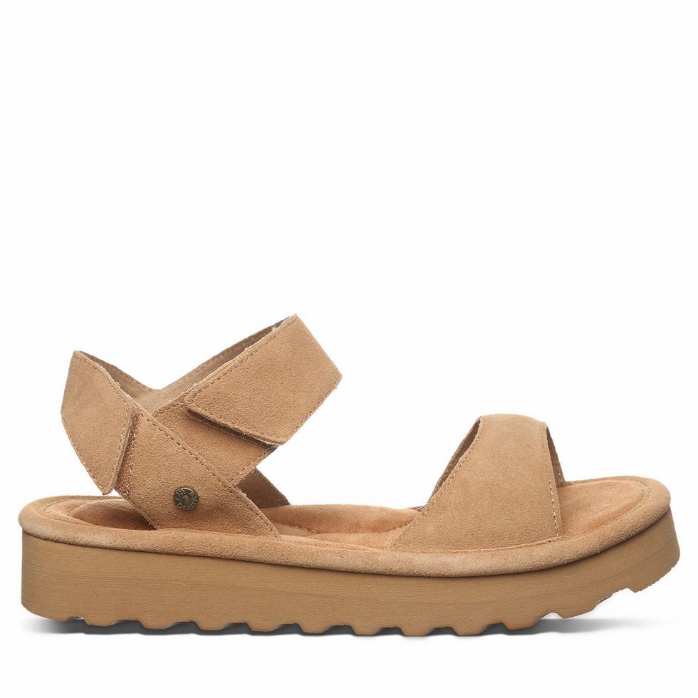 Brown Bearpaw Crest Women Sandals | SQU5782IG