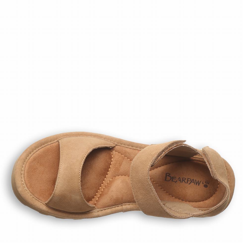 Brown Bearpaw Crest Women Sandals | SQU5782IG