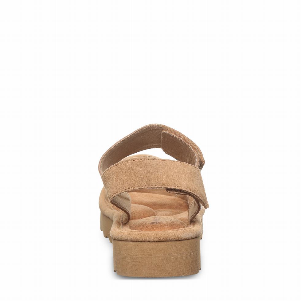 Brown Bearpaw Crest Women Sandals | SQU5782IG