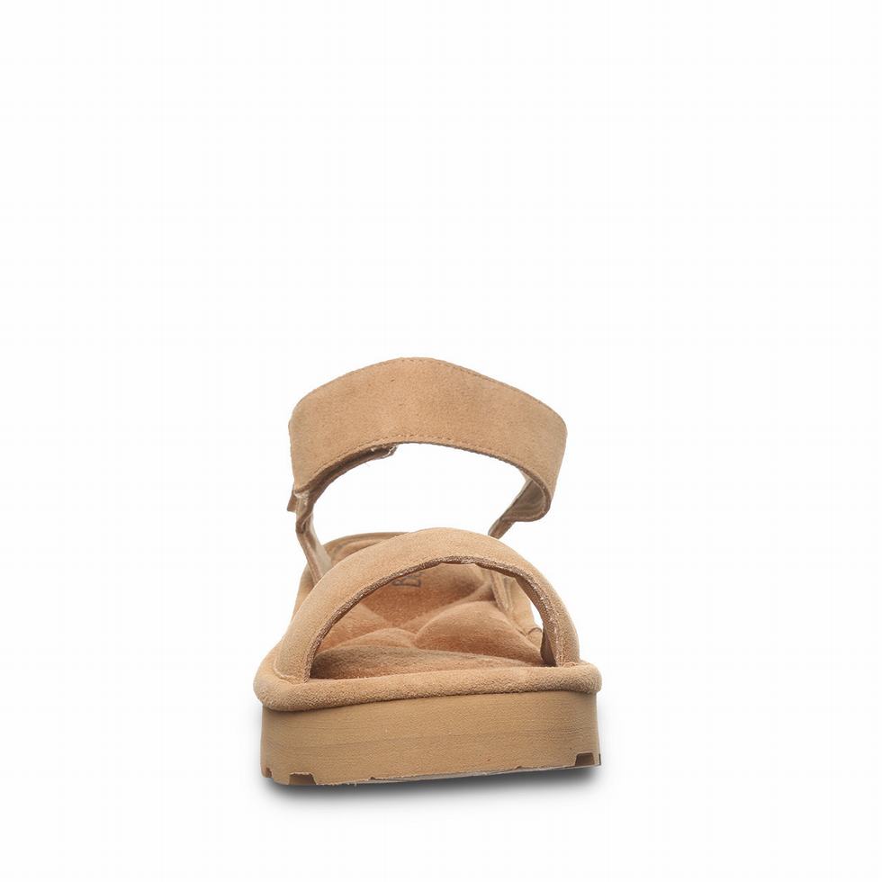 Brown Bearpaw Crest Women Sandals | SQU5782IG