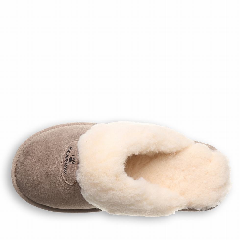 Brown Bearpaw Effie Vegan Women Slippers | QVL3578XG