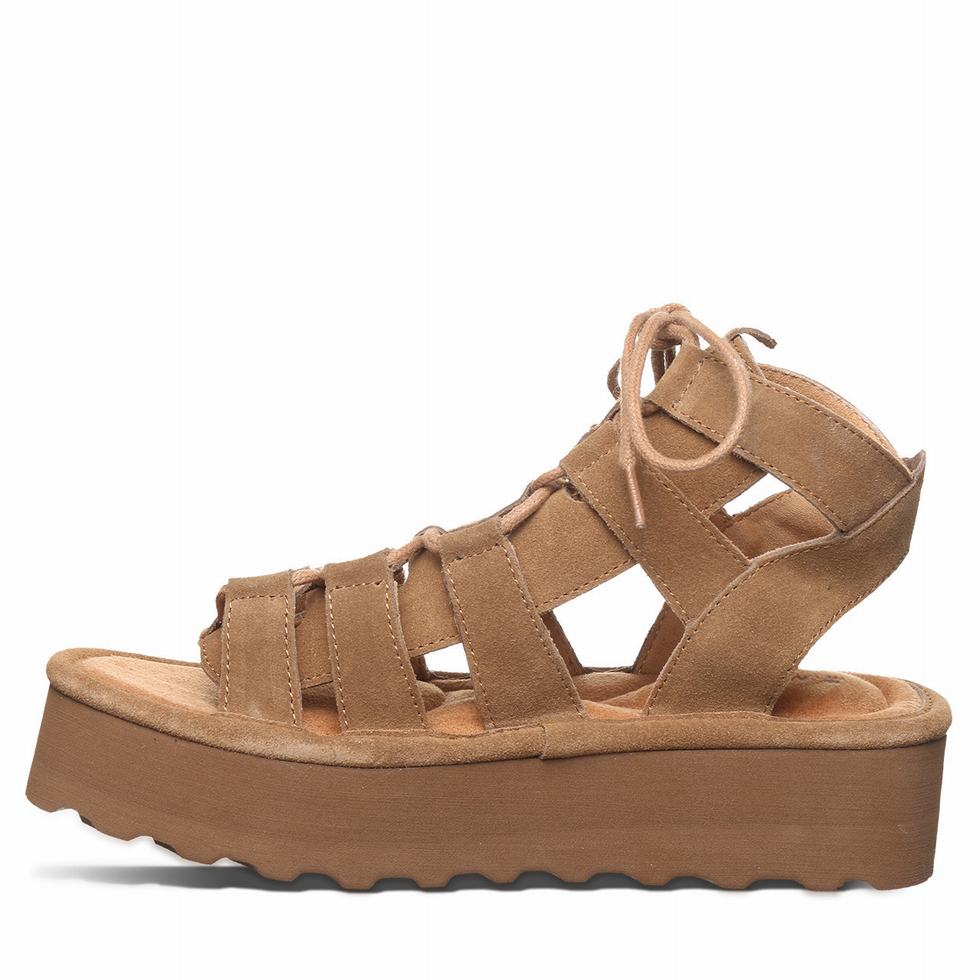 Brown Bearpaw Elevation Women Sandals | GNM5276OS