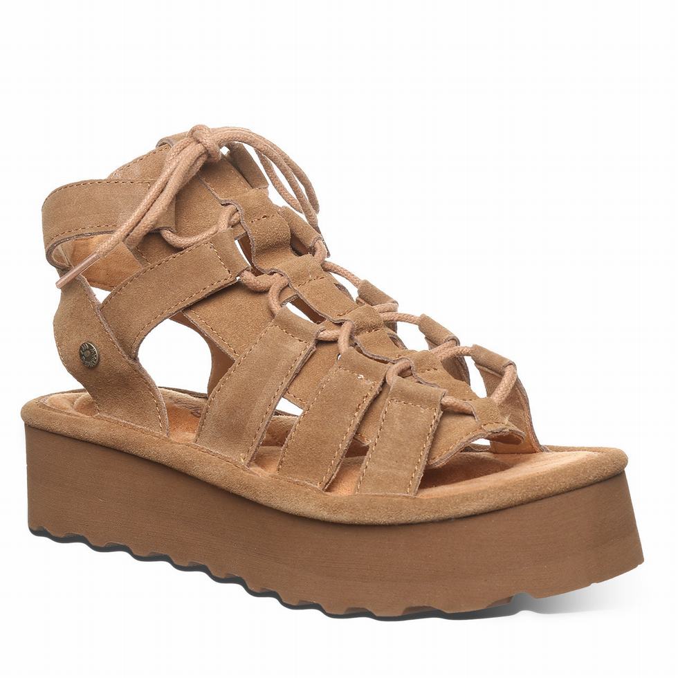 Brown Bearpaw Elevation Women Sandals | GNM5276OS