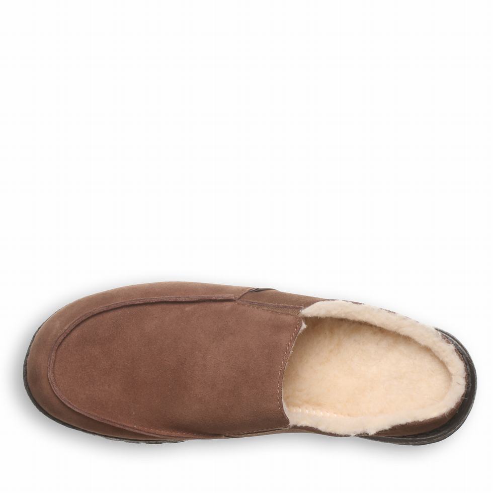 Brown Bearpaw Joel Men Slippers | RWX426TJ