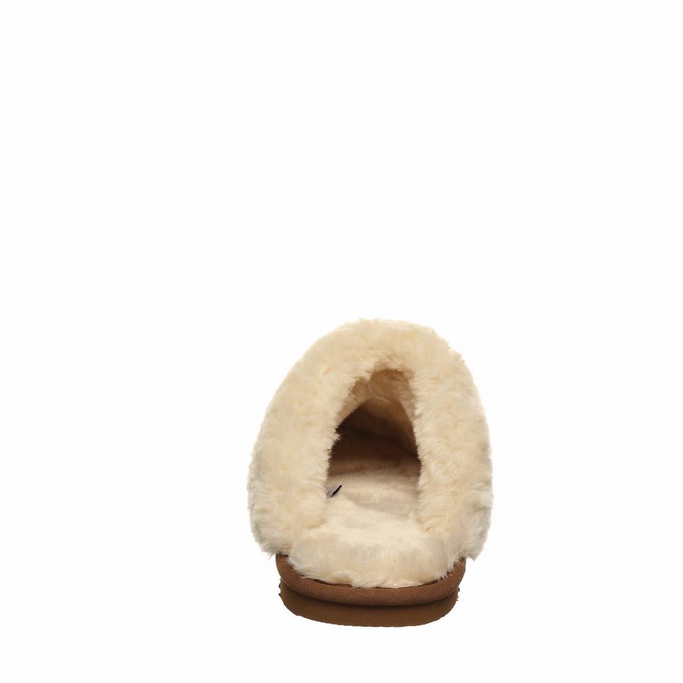 Brown Bearpaw Loki Vegan Women Slippers | JHF949KC