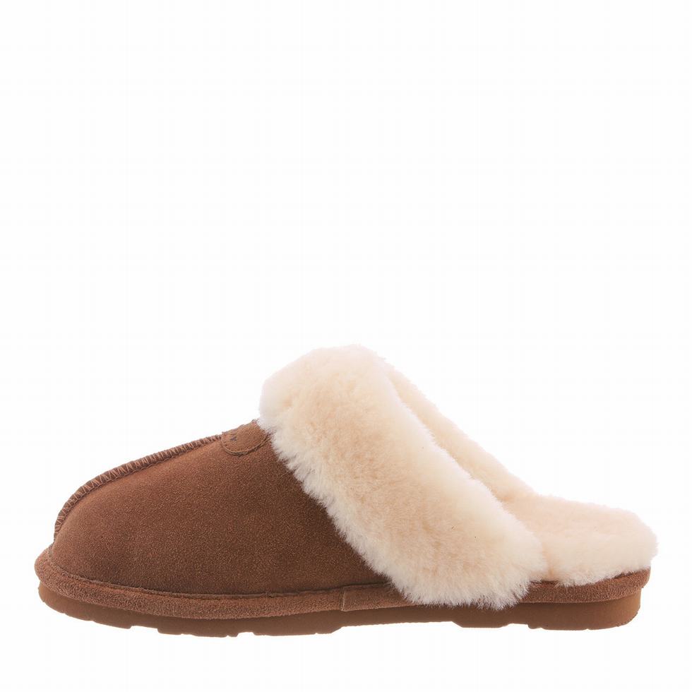 Brown Bearpaw Loki Women Slippers | AFW9110LK