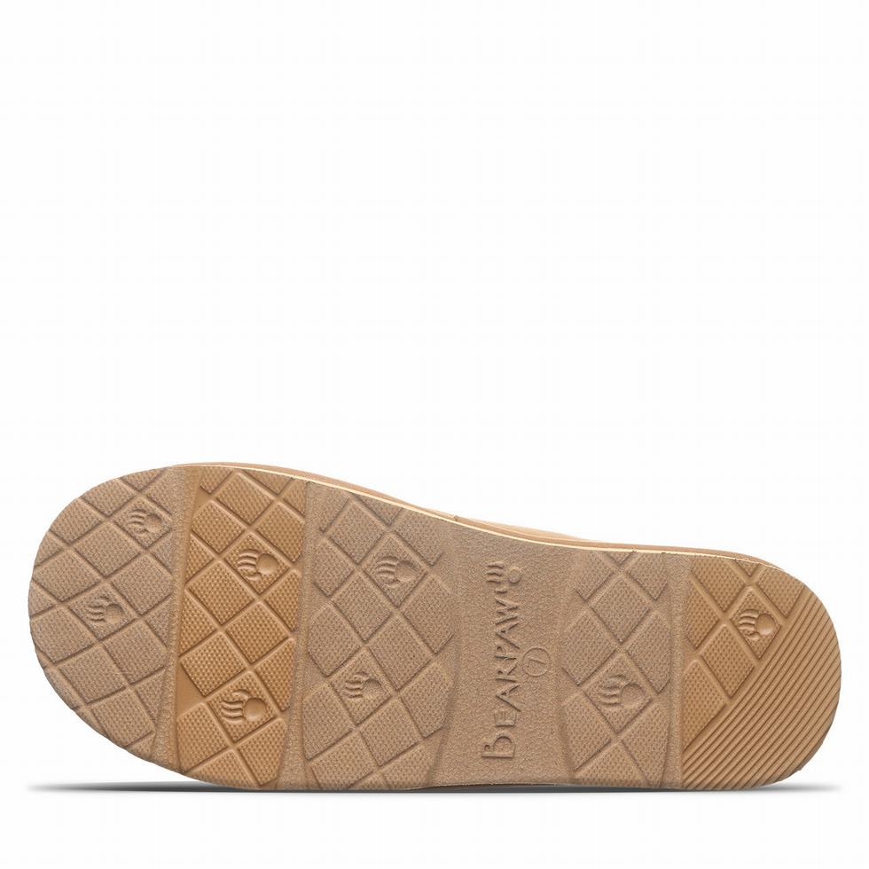 Brown Bearpaw Martis Vegan Women Slippers | DWR7852SO