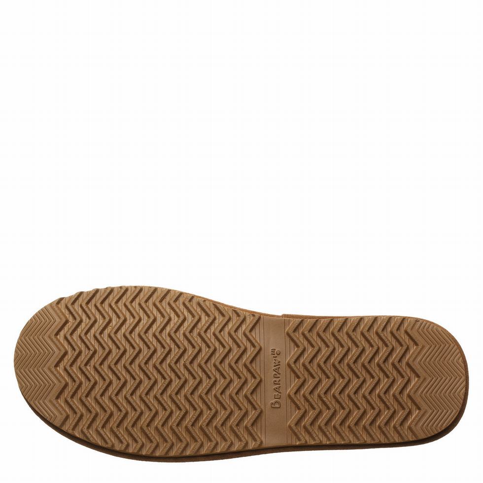 Brown Bearpaw Pierre Men Slippers | XLN651ER