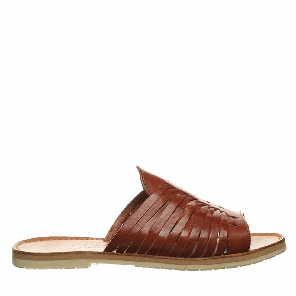 Brown Bearpaw Rosa Women Sandals | YMR304BZ