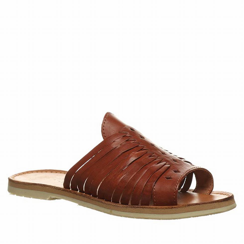 Brown Bearpaw Rosa Women Sandals | YMR304BZ