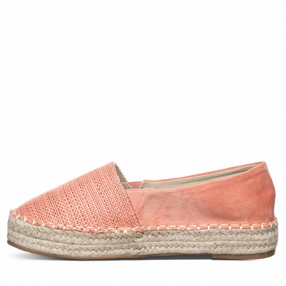 Pink Bearpaw Macchiato Women Espadrilles | NEH7654ML