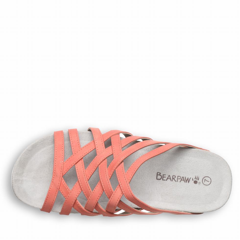 Pink Bearpaw Zinnia Women Sandals | AUU2223MO