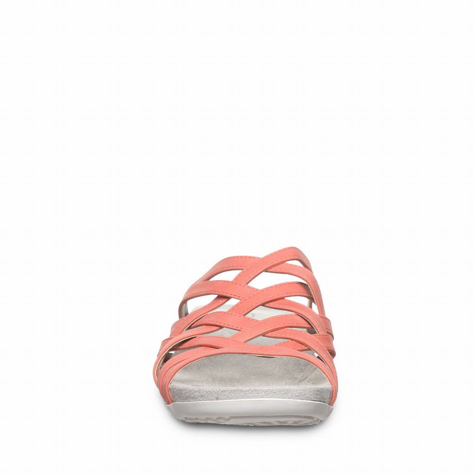 Pink Bearpaw Zinnia Women Sandals | AUU2223MO