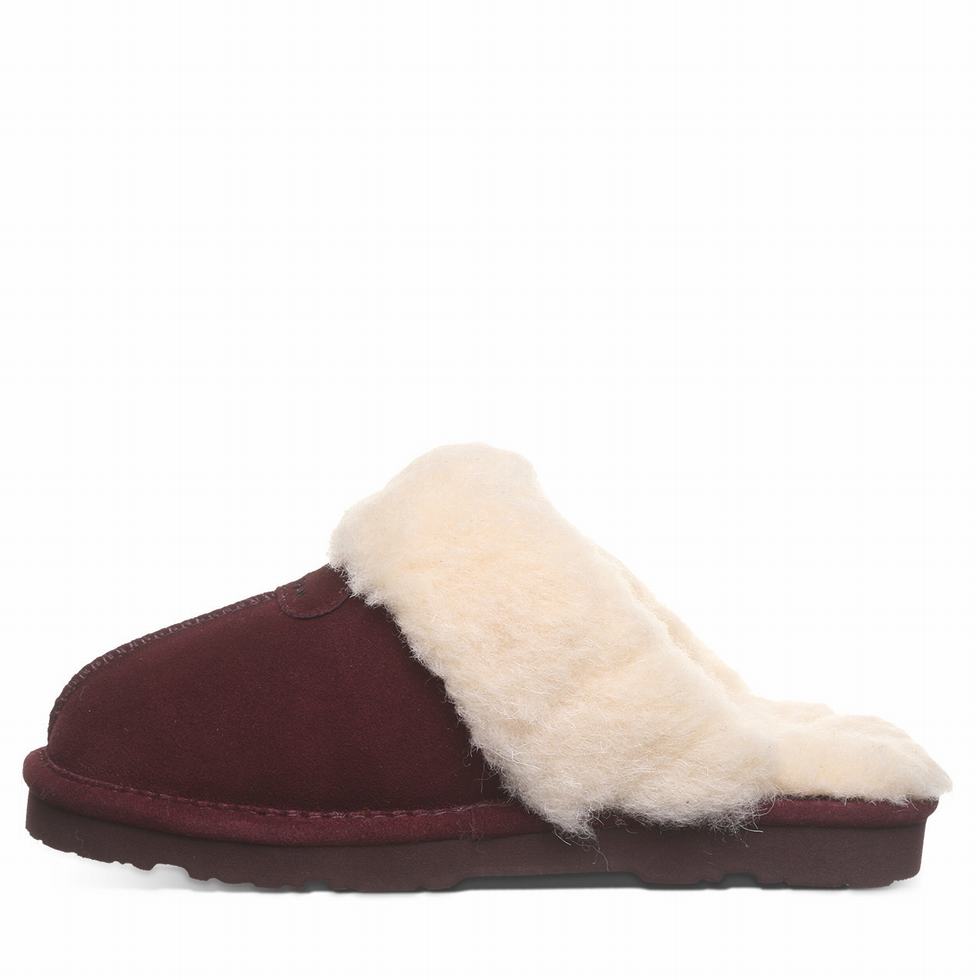 Purple Bearpaw Loki II Women Slippers | LIV6331GA