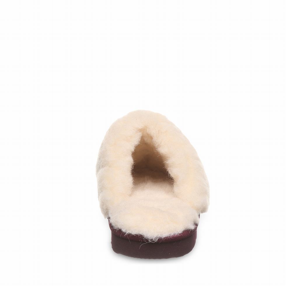 Purple Bearpaw Loki II Women Slippers | LIV6331GA